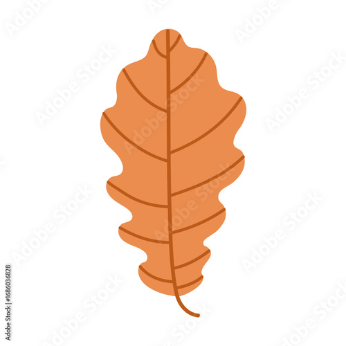 Simple illustration of an oak leaf with lobed edges. Isolated on a white background. Symbolizing autumn, foliage and seasonal nature. Flat vector. Hand drawn.