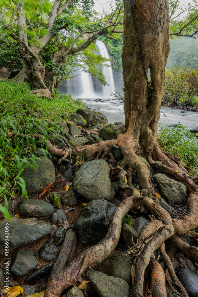 Fototapeta premium Thailand, waterfall, asia, mountains beautiful view, 