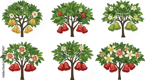 Wax apple tree illustration, tropical fruit stages, botanical drawing, agriculture concept, farming vector, harvest season, organic food, nature art, horticulture diagram