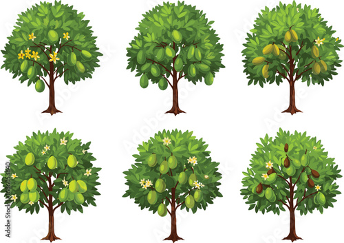Fruit bearing trees with flowers, botanical illustration set, seasonal orchard plants, agriculture concept, garden harvest, farming, horticulture, nature, vector art collection