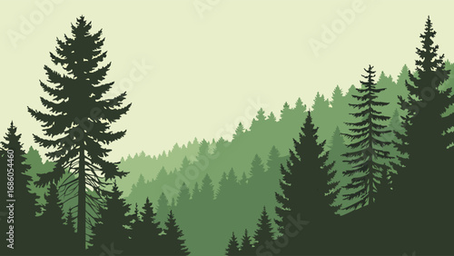 Coniferous Forest Landscape Evergreen Trees Nature Background Panoramic View Woodland Illustration.