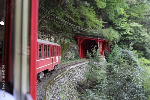 Naklejka トンネルの中に入ろうとする大井川鉄道井川線の電車