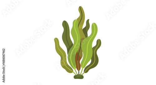 Stylized Seaweed Illustration: An aquatic botanical artwork showing a bunch of swaying seagrasses with shades of green on a pure white backdrop