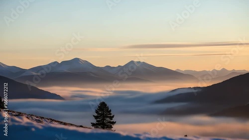 Wallpaper Mural Serene Sunrise Misty Mountains Solitary Pine. Torontodigital.ca