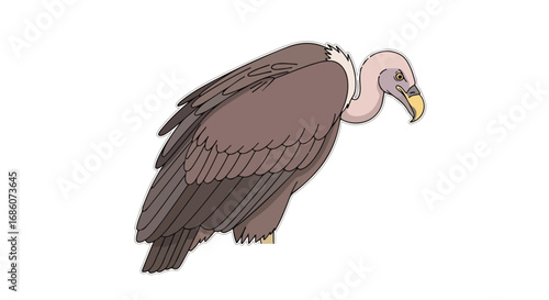 Vulture perched, looking alert against a white background, creating a detailed illustrative vector for educational or creative projects