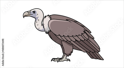 Illustrated Cartoon Vulture with Detailed Feathers Isolated on White Backdrop Showing Wildlife