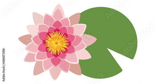 Pink Water Lily Blossom Resting on Verdant Leaf Pad, Vector Illustration Isolated, Floral Serenity, Botanical Beauty Depiction