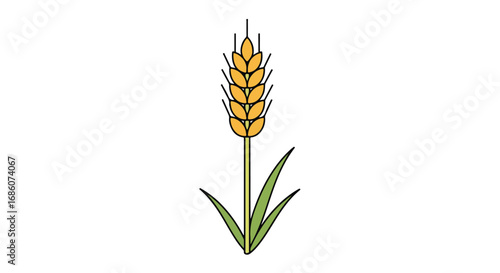 Stylized wheat stalk illustration, simple design with delicate lines and vibrant hues, suitable for diverse applications and visual narratives