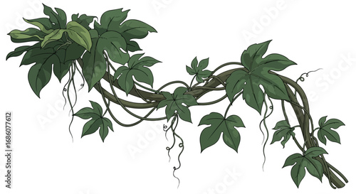 Intricate illustration of lush, trailing vines and vibrant green leaves with tendrils hanging down isolated against a plain white backdrop