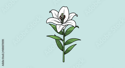 Elegant white lily blossom with green leaves on a pastel background illustration showcases botanical illustration style in soft tones and graceful
