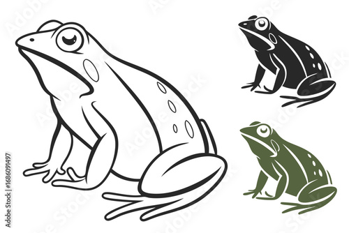 Three frogs minimal illustration amphibian animal