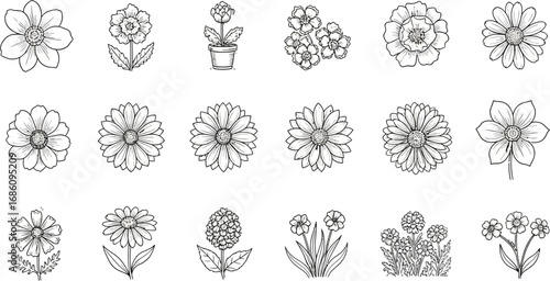 Charming collection of delicate floral line art illustrations, perfect for design projects