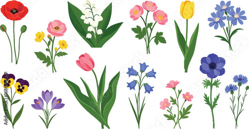 Vibrant collection of spring and summer flowers including tulips, poppies, anemones, and pansies for joyous occasions