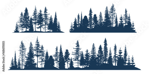 Silhouette of a coniferous forest, isolated on white background