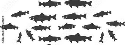 Silhouette of school of fish swimming, underwater marine life, aquatic animals, ocean environment, fish group, nature sea creatures, wildlife, aquatic ecosystem