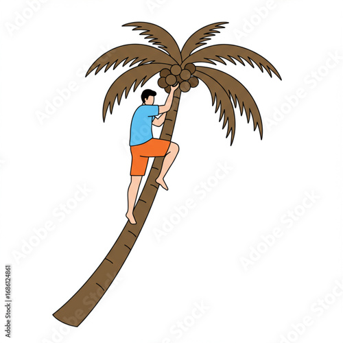A vector illustration of a skilled man climbing a tall coconut palm tree to harvest ripe coconuts, representing a tropical lifestyle