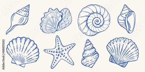 Collection of hand drawn blue line art seashells and starfish on a cream background