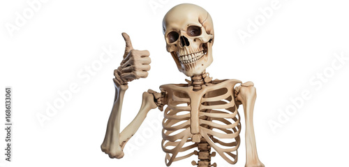 A skeleton with a thumbs up in a png background