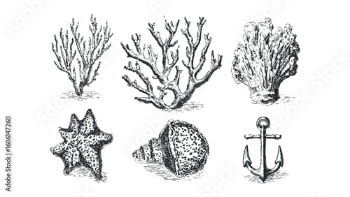 Collection of vintage hand-drawn nautical and marine life illustrations. Vector hand drawn illustration