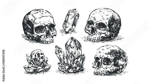 Sketchy human skulls and crystal clusters on white. Vector hand drawn illustration