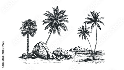 Sketch of palm trees and tropical islands on a white background. Vector hand drawn illustration