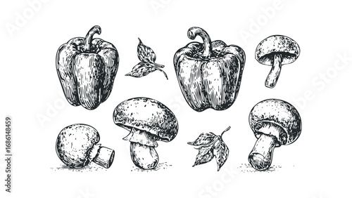 Engraved Bell Peppers and Mushrooms with Leaves on Transparent. Vector hand drawn illustration