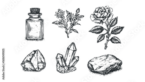 Vintage ink sketch collection of flora and minerals isolated on white. Vector hand drawn illustration