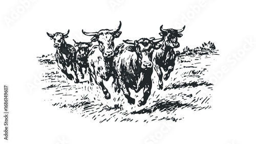 Herd of Cattle Running Through a Grassy Field. Vector hand drawn illustration