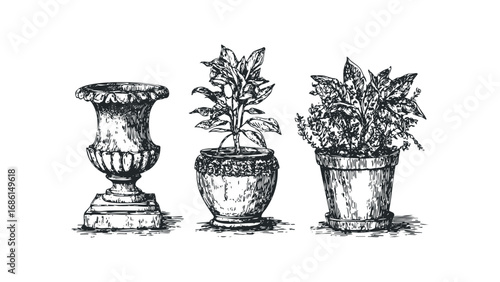 Ornate Urn And Potted Plants Vintage Style Sketch. Vector hand drawn illustration