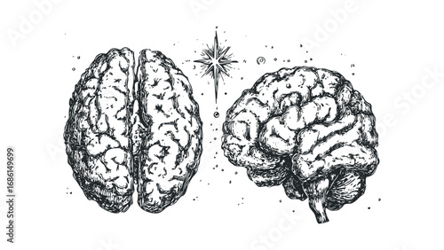Ink Sketch of Human Brains with Starburst Element. Vector hand drawn illustration