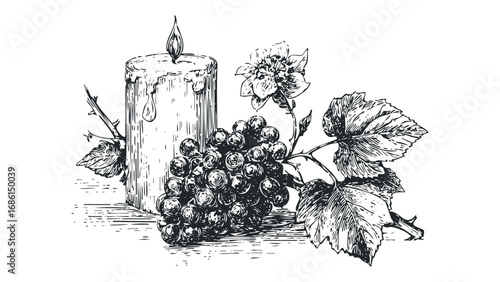 Still Life of Grapes and Candle with Flower and Leaves. Vector hand drawn illustration