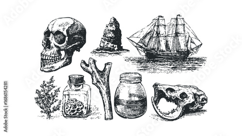 Vintage sketch collection of skull, sailing ship, and jars. Vector hand drawn illustration