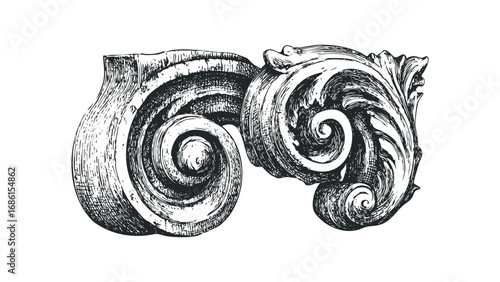 Ornate scrollwork architectural detail with swirling volutes and leaf motifs. Vector hand drawn illustration