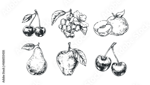 Hand Drawn Sketch Collection of Assorted Fruits on Transparent Background. Vector hand drawn illustration