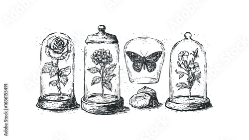 Sketch style botanical collection with preserved rose, hydrangea, butterfly, and flowers. Vector hand drawn illustration