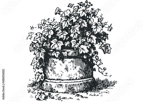 Vine plant overflowing from a vintage wooden barrel in a graphic style. Vector hand drawn illustration