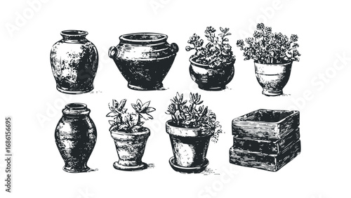 Collection of Hand Drawn Vases and Potted Plants. Vector hand drawn illustration