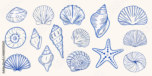 Wallpaper Mural Collection of hand drawn blue line art seashells and starfish on a cream background Torontodigital.ca