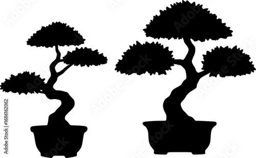 Two Bonsai Trees in Pots Black Silhouette Style on White Background Minimalist Design silhouette
