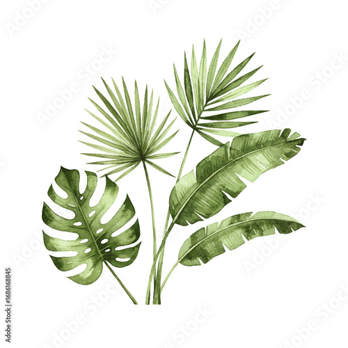 Fresh tropical foliage monstera, palm and banana leaf watercolor art brings vibrant nature 
