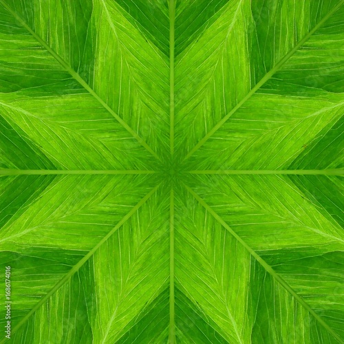 Kaleidoscopic green leaf pattern