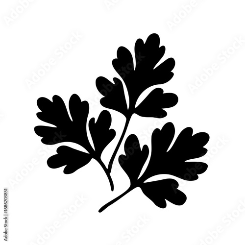 Elegant minimalist silhouette of parsley sprigs set against a clean white backdrop