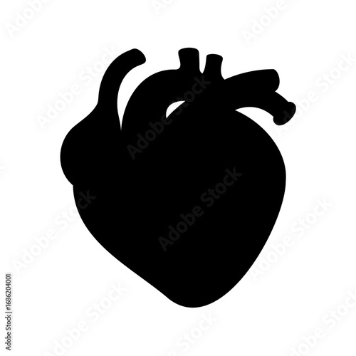 Silhouette of a human heart depicting anatomical structure and circulatory system