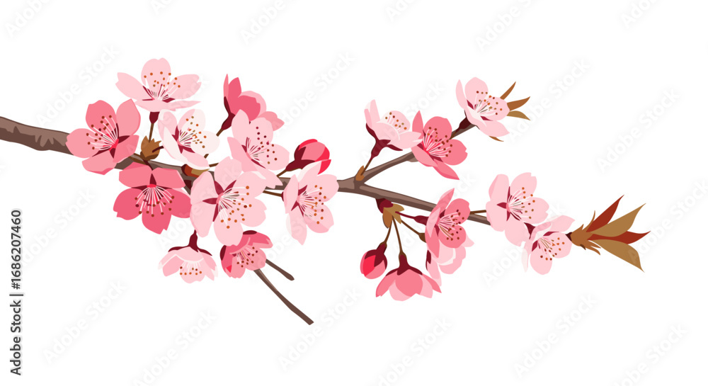 Fototapeta premium Blooming cherry blossom branch with pink flowers and brown stem