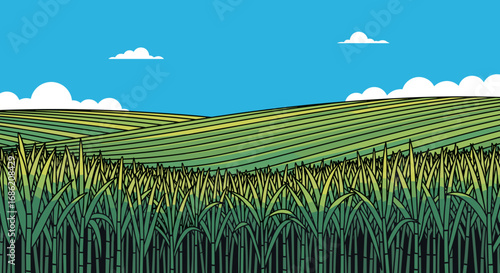Illustration of a field with crops under a blue sky and clouds