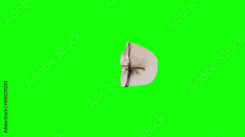 motion collage eye looping