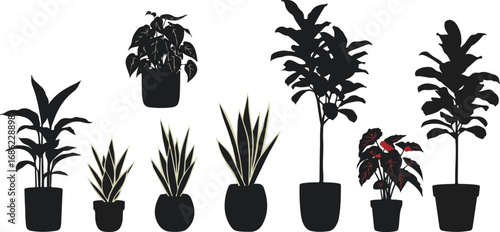 image_Art_collage_potted_h_seed782700_1756306978987_1