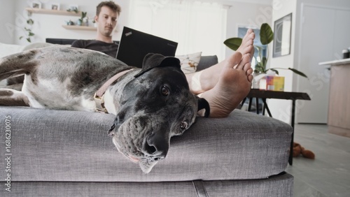 Young man sits on couch with dog resting nearby in a cozy living room. Daytime light creates a calm and peaceful atmosphere.
