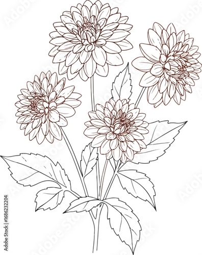 ~temp_image_Dahlia_Flowers_with__seed638693_1756343797875_1