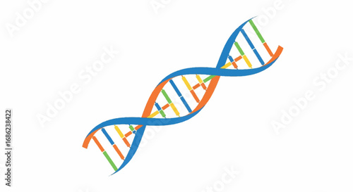 DNA double helix structure genetic code 1.